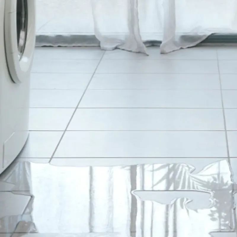 Appliance Leak Cleanup in Trenton, FL