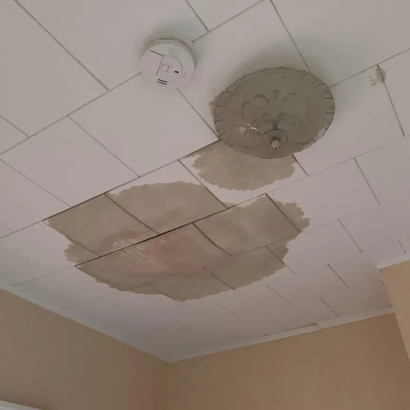 Ceiling Water Damage Repair in Trenton, FL
