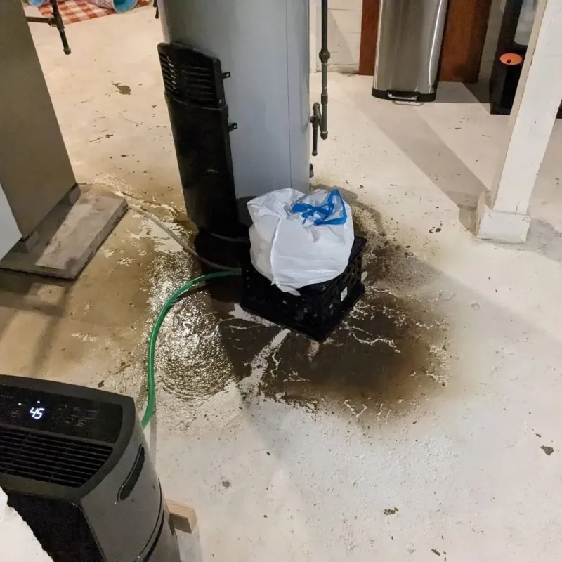 Sewage Backup Cleanup Service in Trenton, FL